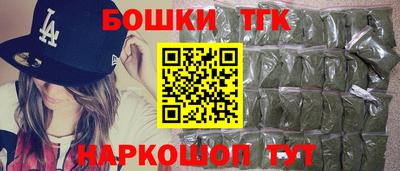 СК Лесосибирск